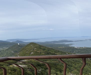 小豆島　銚子渓　自然動物園　お猿の国に投稿された画像（2023/10/10）