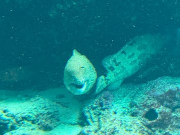 沖縄美ら海水族館に投稿された画像（2023/10/10）
