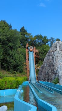 日本モンキーパークに投稿された画像（2023/10/10）