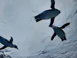 サンシャイン水族館に投稿された画像（2023/10/10）