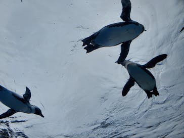 サンシャイン水族館に投稿された画像（2023/10/10）