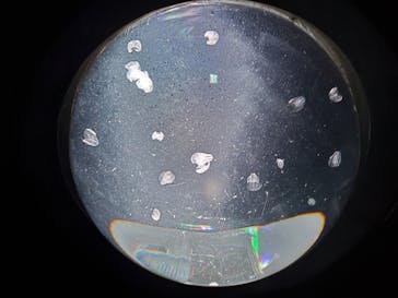 サンシャイン水族館に投稿された画像（2023/10/10）