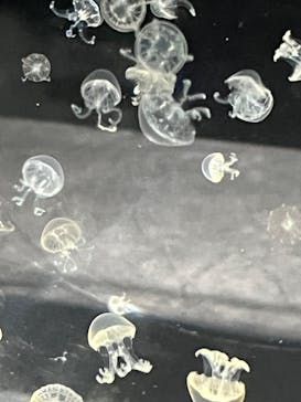 AOAO SAPPOROに投稿された画像（2023/10/10）