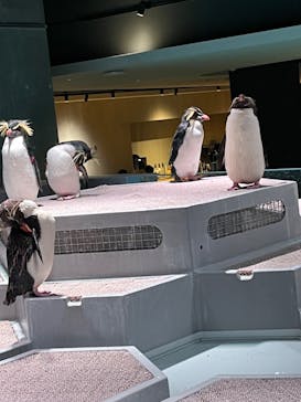 AOAO SAPPOROに投稿された画像（2023/10/10）