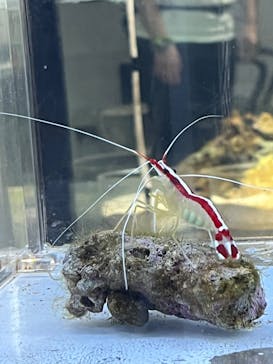 AOAO SAPPOROに投稿された画像（2023/10/10）