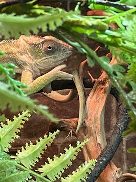NARA IKIMONO MUSEUMに投稿された画像（2023/10/10）