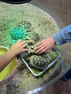 NARA IKIMONO MUSEUMに投稿された画像（2023/10/10）