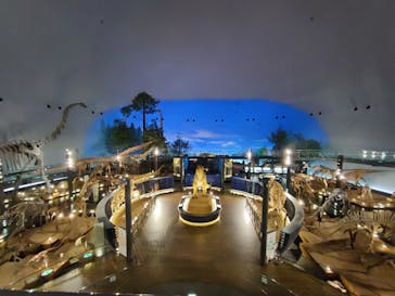 福井県立恐竜博物館に投稿された画像（2023/10/10）