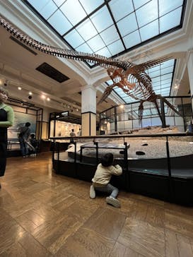 国立科学博物館に投稿された画像（2023/10/10）