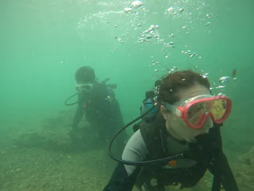 武藤潜水に投稿された画像（2023/10/10）