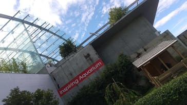 環境水族館アクアマリンふくしまに投稿された画像（2023/10/10）