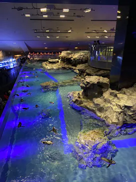 すみだ水族館に投稿された画像（2023/10/10）