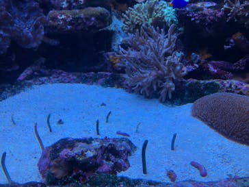 サンシャイン水族館に投稿された画像（2023/10/10）