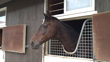 ノーザンホースパークに投稿された画像（2023/10/10）