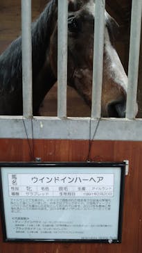 ノーザンホースパークに投稿された画像（2023/10/10）