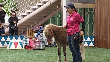 ノーザンホースパークに投稿された画像（2023/10/10）