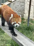 天王寺動物園に投稿された画像（2023/10/10）