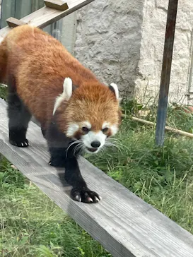 天王寺動物園に投稿された画像（2023/10/10）
