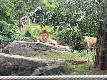 天王寺動物園に投稿された画像（2023/10/10）