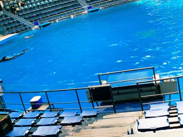 マクセル アクアパーク品川に投稿された画像（2023/10/10）