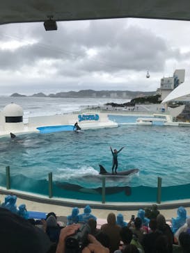 鴨川シーワールドに投稿された画像（2023/10/10）