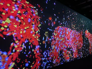 チームラボに投稿された画像（2023/10/10）