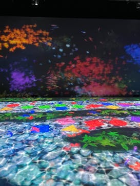 チームラボに投稿された画像（2023/10/10）