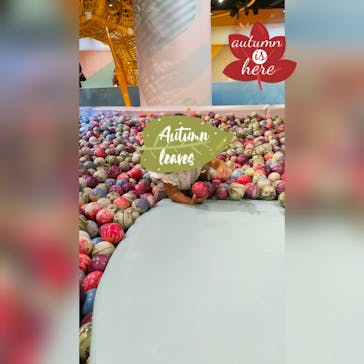 ハピピランド横浜アソビルに投稿された画像（2023/10/10）