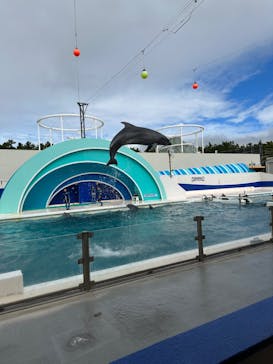 鴨川シーワールドに投稿された画像（2023/10/10）