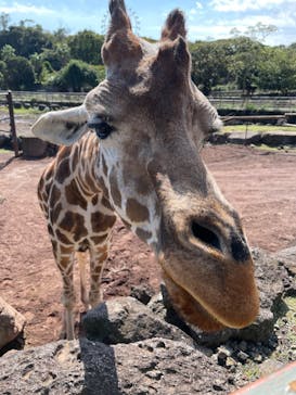 伊豆アニマルキングダムに投稿された画像（2023/10/10）