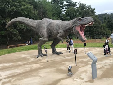 福井県立恐竜博物館に投稿された画像（2023/10/10）