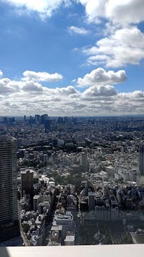 サンシャイン60展望台に投稿された画像（2023/10/10）