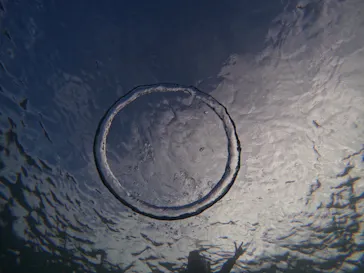 武藤潜水に投稿された画像（2023/10/10）