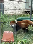 天王寺動物園に投稿された画像（2023/10/10）