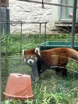 天王寺動物園に投稿された画像（2023/10/10）