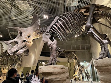 国立科学博物館に投稿された画像（2023/10/10）