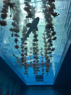 仙台うみの杜水族館に投稿された画像（2023/10/10）
