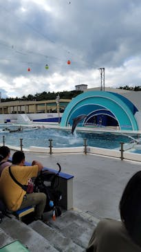 鴨川シーワールドに投稿された画像（2023/10/10）