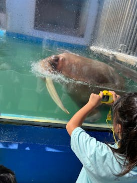ゼロ距離水族館 伊勢シーパラダイスに投稿された画像（2023/10/10）