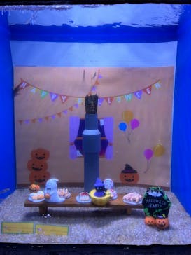 ゼロ距離水族館 伊勢シーパラダイスに投稿された画像（2023/10/10）