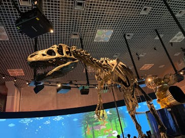 国立科学博物館に投稿された画像（2023/10/10）