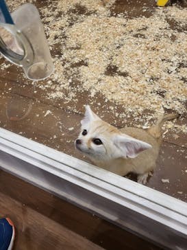 アニタッチみなとみらいに投稿された画像（2023/10/10）