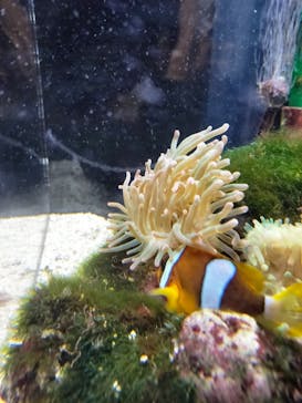 京都水族館に投稿された画像（2023/10/10）