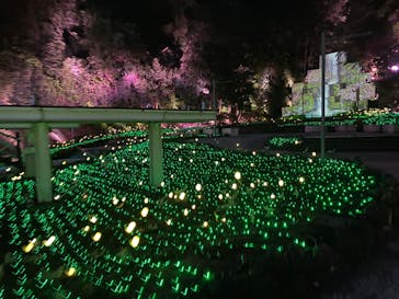 NESTA RESORT KOBE（ネスタリゾート神戸）に投稿された画像（2023/7/14）