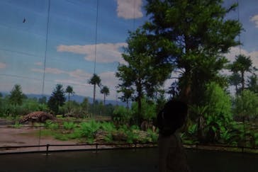 福井県立恐竜博物館に投稿された画像（2023/10/10）