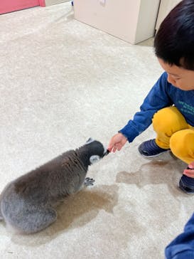 アニタッチアクアシティお台場に投稿された画像（2023/10/10）