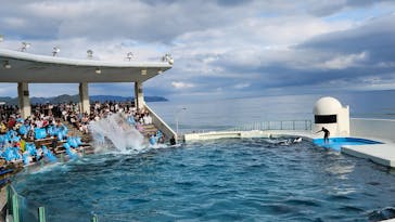 鴨川シーワールドに投稿された画像（2023/10/10）