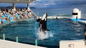 鴨川シーワールドに投稿された画像（2023/10/10）