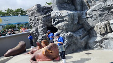 鴨川シーワールドに投稿された画像（2023/10/10）