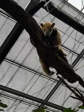 神戸どうぶつ王国に投稿された画像（2023/10/10）